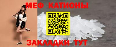 стаф Кингисепп