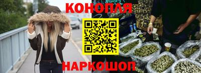 стаф Кингисепп
