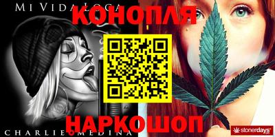 стаф Кингисепп