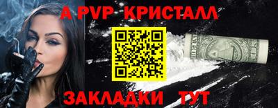 стаф Кингисепп