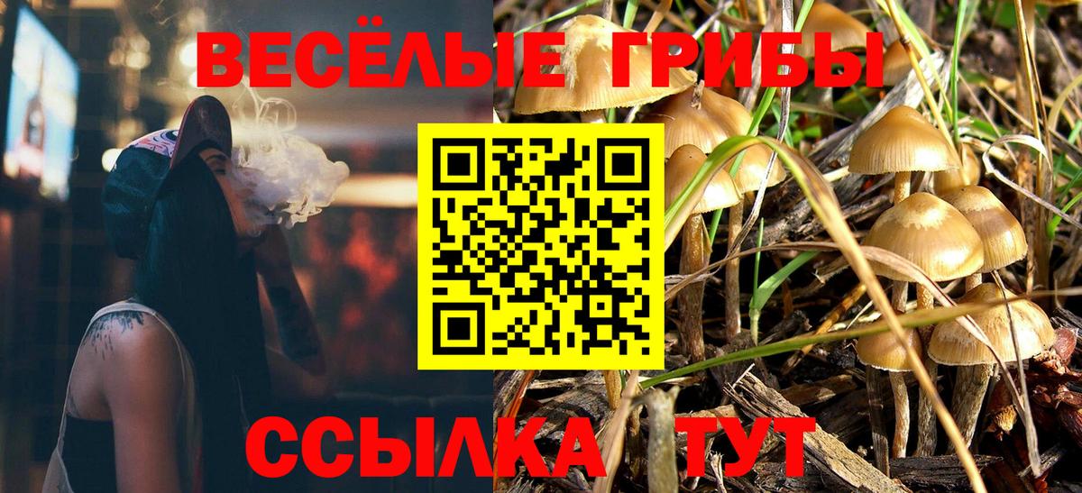 Псилоцибиновые грибы ЛСД Кудымкар